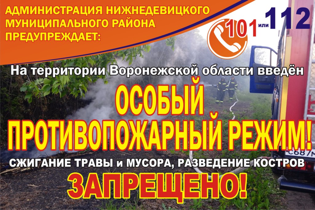 С 15 апреля на территории Воронежской области установлен особый противопожарный режим..