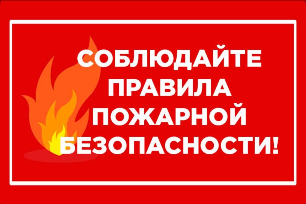 Уважаемые жители Нижнедевицкого района, чтобы в ваш дом не пришла беда, соблюдайте элементарные правила пожарной безопасности.